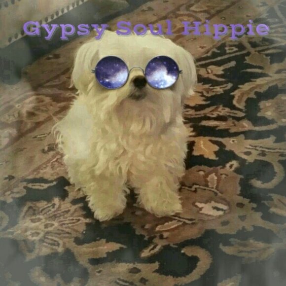 Meet your Posher, Kimber - Picture 1 of 1